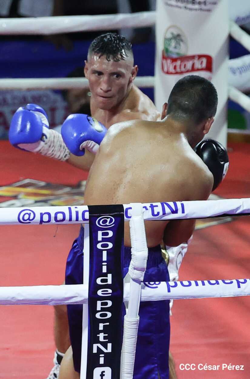 boxeo